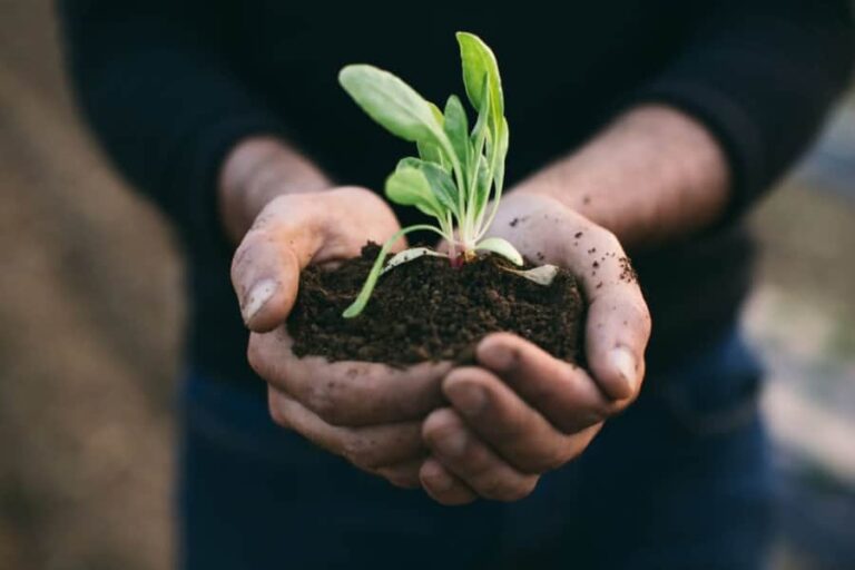 5 Small Changes for a More Sustainable and Eco-Friendly Lifestyle